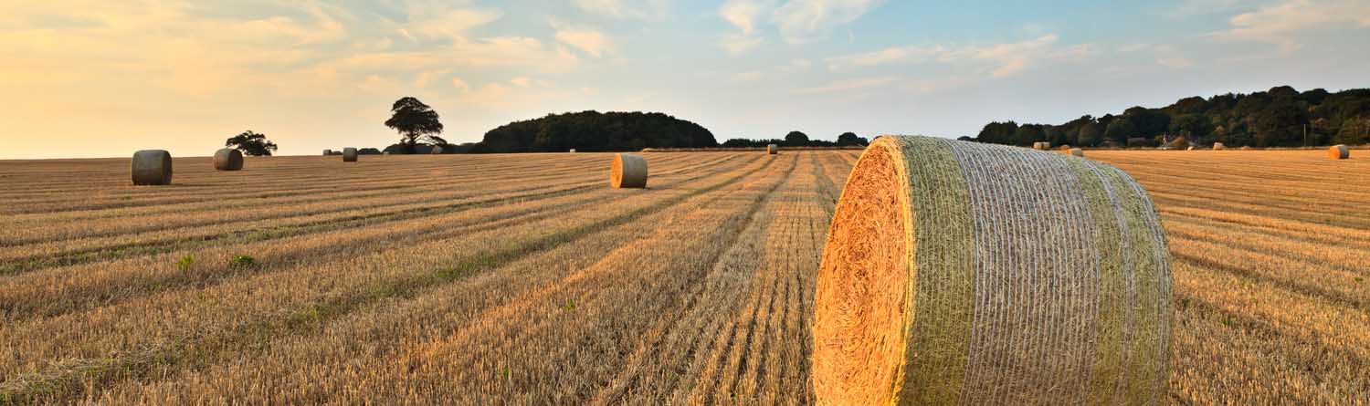 Haybales image for header